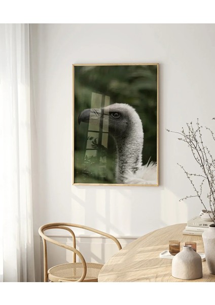 Gri Kuş Portresi fırsatları