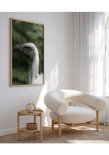 Gri Kuş Portresi indirimleri