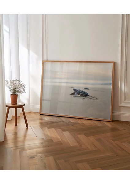 Deniz Kaplumbağası Poster indirimleri