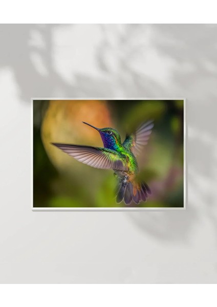 Renkli Sinekkuşu Poster modelleri