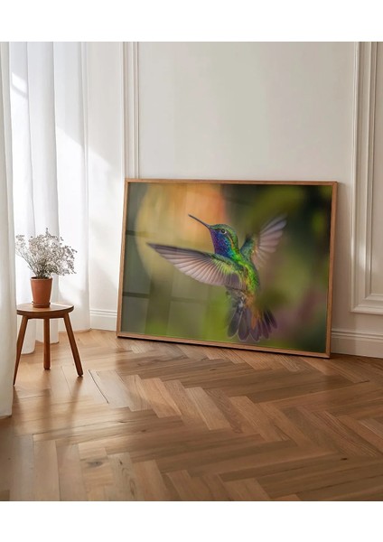 Renkli Sinekkuşu Poster indirimleri