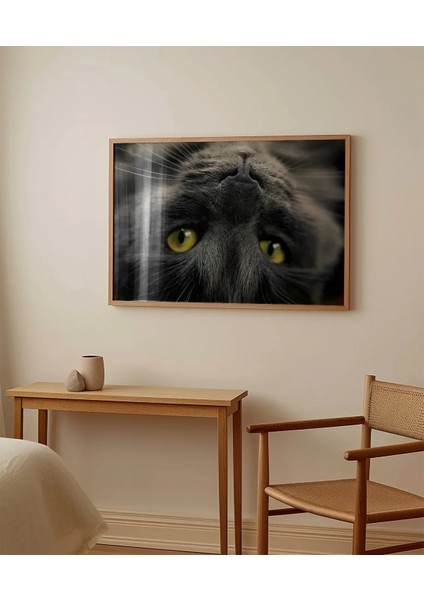Yavru Kedi Uyku Anı Poster modelleri