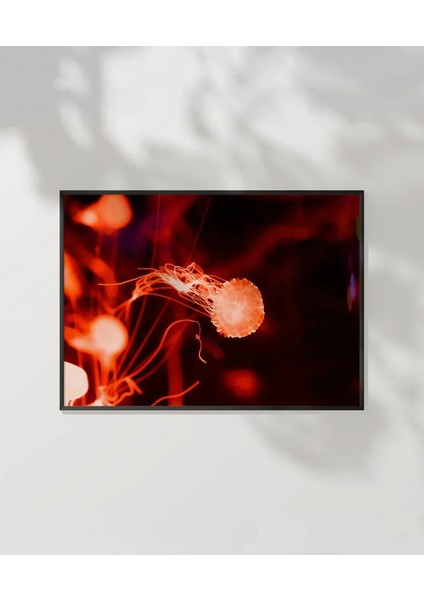 Jellyfish Bubbles Poster