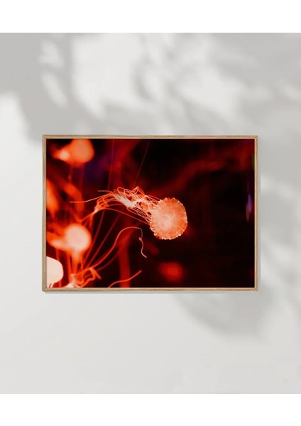 Jellyfish Bubbles Poster fırsatları