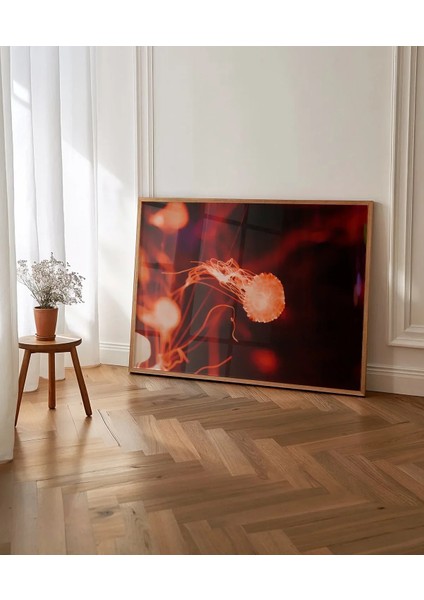 Jellyfish Bubbles Poster indirimleri