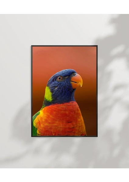 Renkli Papağan Portresi Poster
