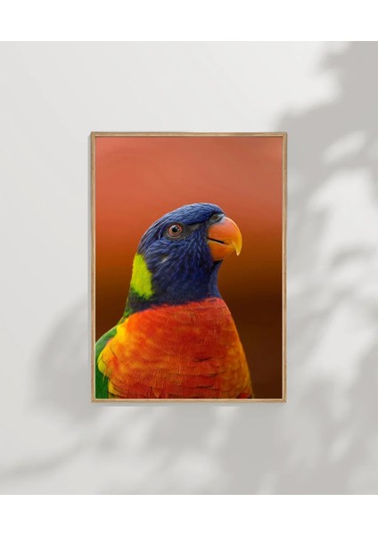 Renkli Papağan Portresi Poster modelleri