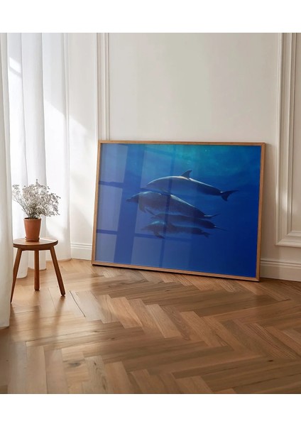 1. Derin Mavi Yunuslar Poster indirimleri