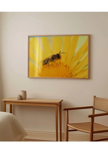 Güneş Altında Arı Poster fırsatları