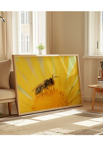 Güneş Altında Arı Poster indirimleri