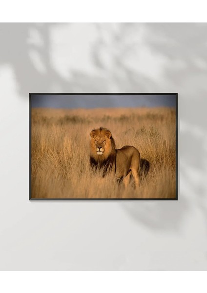 Orman Aslanı Poster