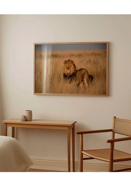 Orman Aslanı Poster modelleri