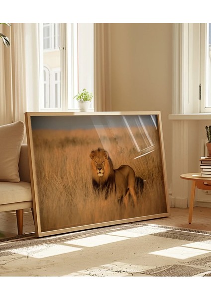 Orman Aslanı Poster indirimleri