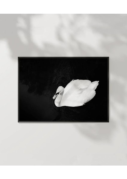 Swan Silueti Poster