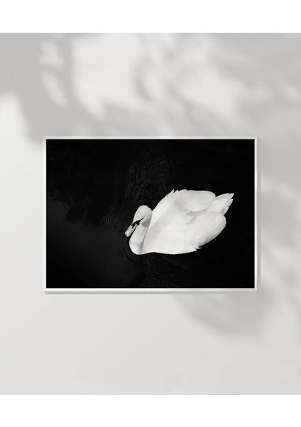 Swan Silueti Poster modelleri