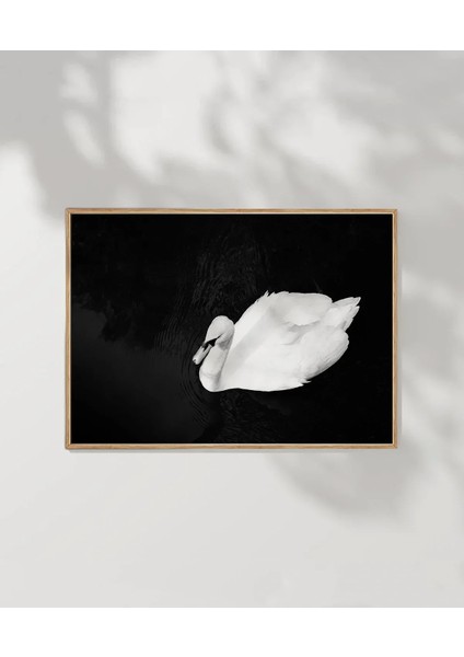 Swan Silueti Poster fırsatları