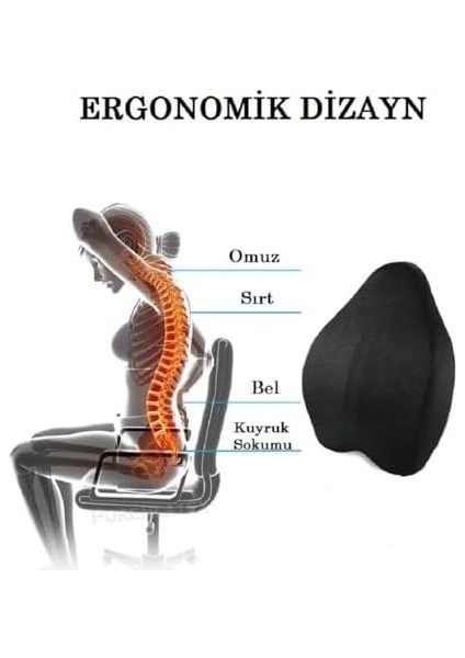 Wiforte Visco Elastik Bel Destek Yastığı – Anatomik Tasarımlı Ofis ve Araç Içi Sırt Minderi | Ergonomik ve Konforlu Bel Desteği modelleri