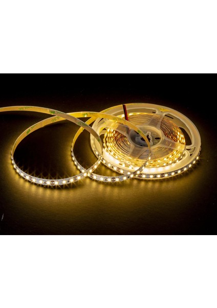 5 Metre Noas YL35 2402 Iç Mekan 12V 240 Çip Şerit LED Gün Işığı 3200K fiyatları