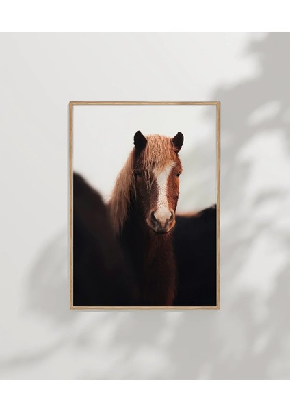 Kahverengi At Portresi modelleri