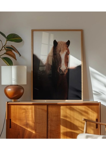 Kahverengi At Portresi fırsatları