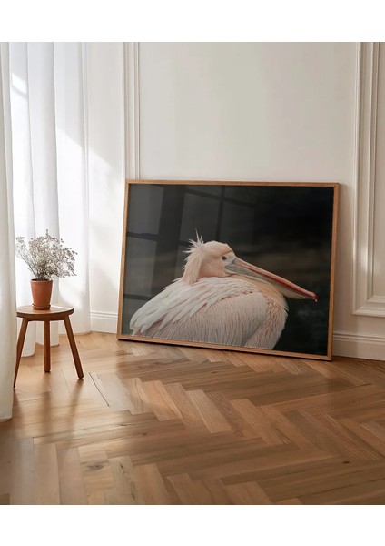 Zarif Pelikan Poster indirimleri