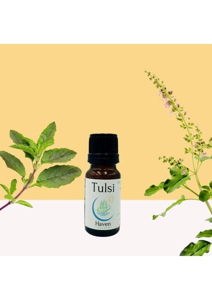 Tulsi (Holy Basil/hint Fesleğeni) Uçucu Yağı 10 ml | Haven Herbs & Blends