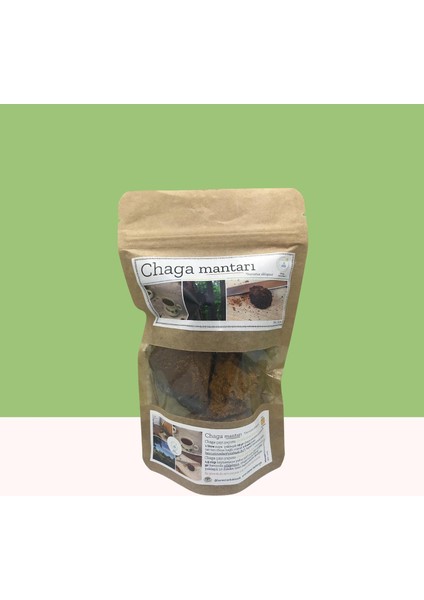 Chaga Mantarı 50 gr modelleri
