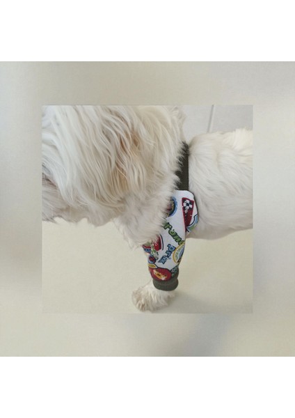 Köpek Dirsek Koruyucu Penye Kumaş ,yumuşak ve Ayarlanabilir, Tüm Irklar Için Uygun