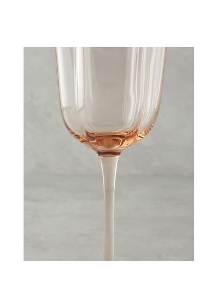 Reina Cam El Yapımı 2’li Kadeh Pudra fiyatları