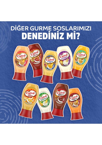 Barbekü Sos 290 G Cheddar Sos 240 G Köri Sos 260 G indirimleri