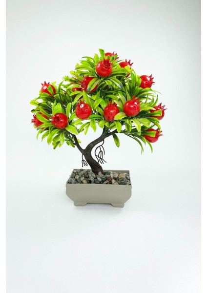 Dekor Ağaç Bereket Nar Ağacı Saksılı Dekoratif Ağaç Biblo 24X13 cm