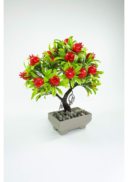 Dekor Ağaç Bereket Nar Ağacı Saksılı Dekoratif Ağaç Biblo 24X13 cm fiyatları