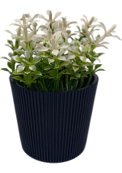 Çizgili Yuvarlak Saksı Çiçek ROYALEKS-5706