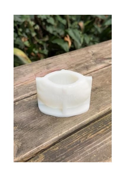 Concept Büyük Deniz Kabuğu 3D Mum Kalıbı (Silikon) modelleri