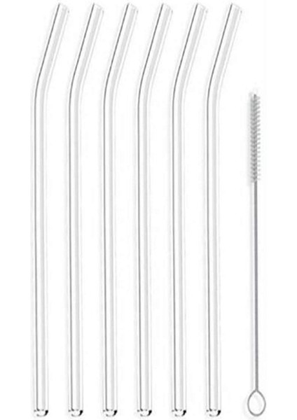 Cam Pipet 6lı Temizleme Fırçalı