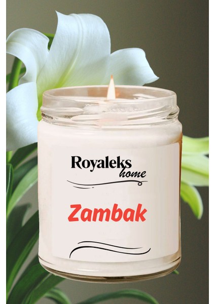 4 Adet Doğal Özel Seri Kokulu Dekoratif Kavanoz Mum 4X210 cc - Bahar Seti - Ryl fırsatları