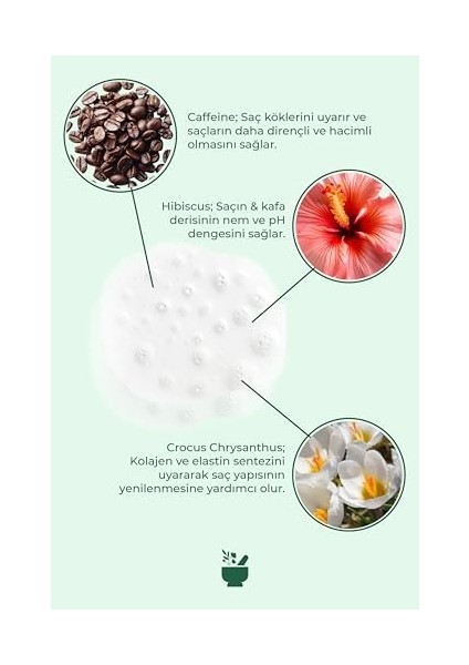 Cosmed Sülfatsız, Tuzsuz Saç Dökülmesine Karşı Serum fiyatları