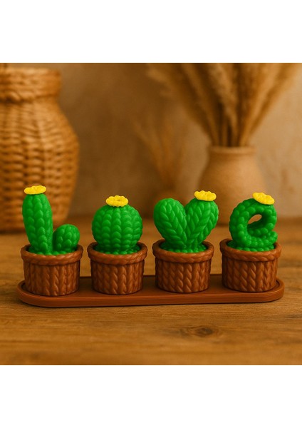 Sevgi Temalı Love Yazılı Dekoratif Kaktüs Seti