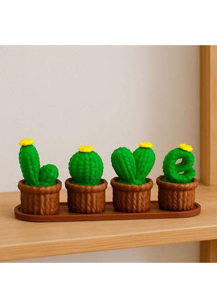 Sevgi Temalı Love Yazılı Dekoratif Kaktüs Seti fiyatları