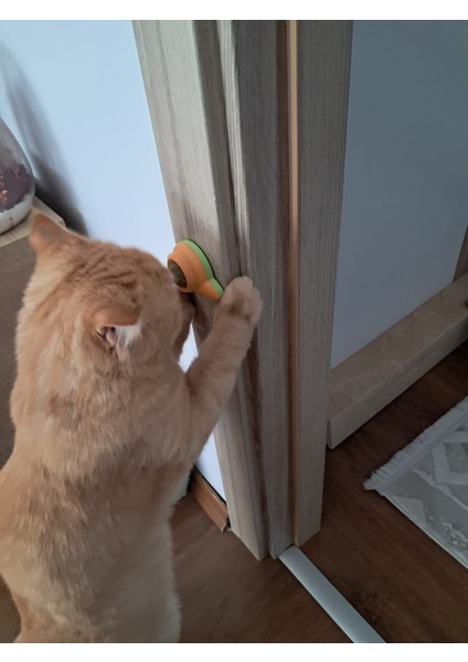 Doğal Catnipli Döner Kedi Yalama Topu Kedi Oyuncağı Ufo Model fırsatları