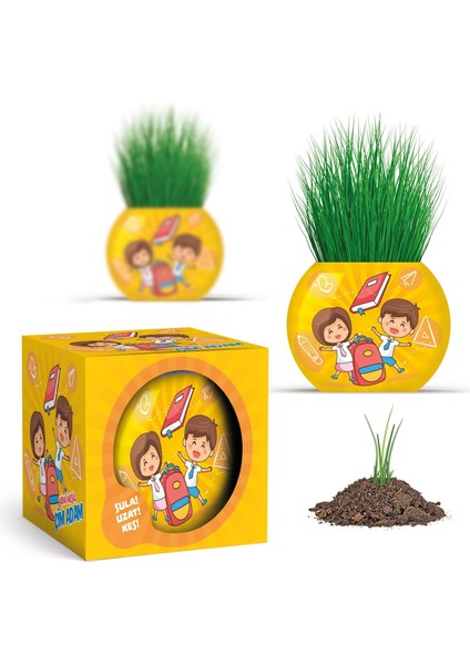 Okul Temalı Çim Adam 6'lı Set – Çocuklar Için Eğitici ve Bitki Yetiştirme Kiti