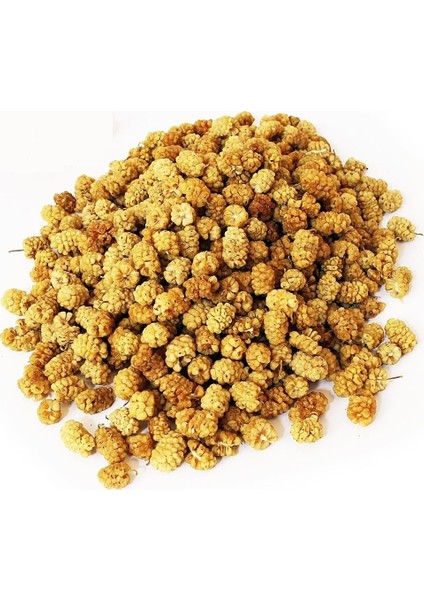 Dut Kurusu (Organik,katkısız,yöresel) 100GR fırsatları