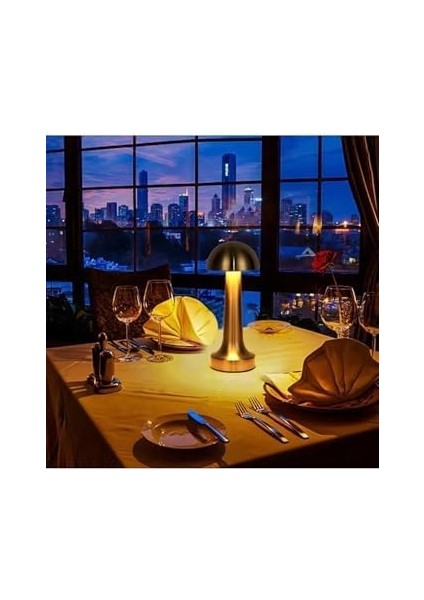 LED Şarj Edilebilir Taşınabilir Masa Lambası - Dokunmatik Aç/kapa ve Parlaklık Ayarı, 3 Renk Seçeneği (, ) modelleri