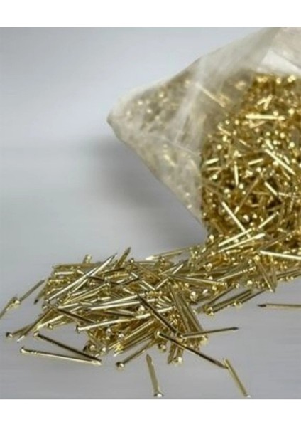 sarıdüz Başlıfilografiçivisi 2.5kg fiyatları