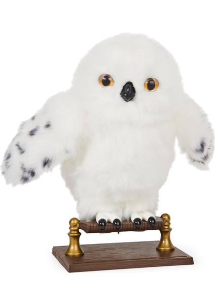 World Interaktif Hedwig