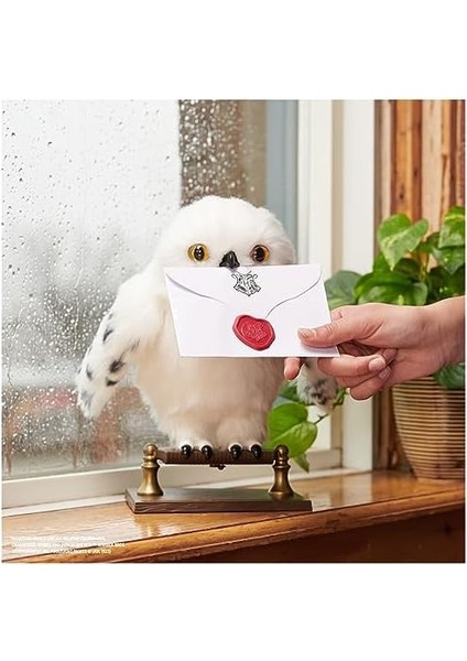 World Interaktif Hedwig modelleri