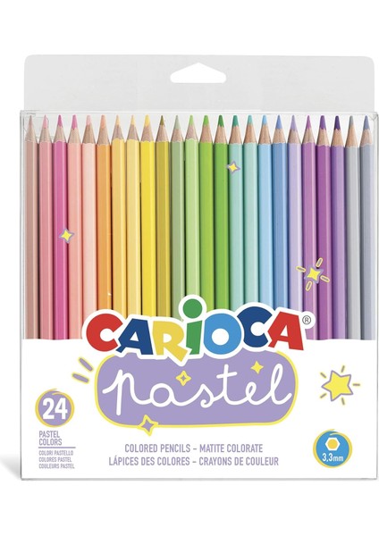 Pastel Renk Kuru 24'lü