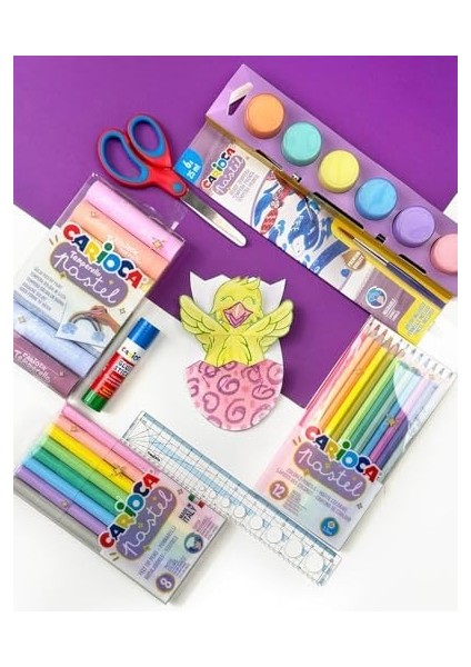 Pastel Renk Kuru 24'lü modelleri