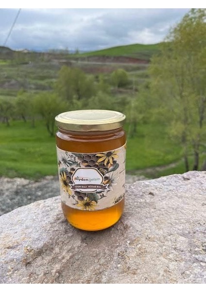 Köyden Gelsin Süzme Bal (850 Gram) fiyatları
