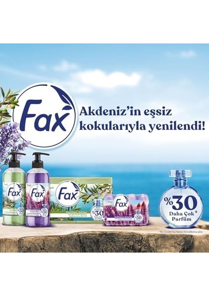 Fax Kapadokya Lavanta Sabun 70GX4 fiyatları